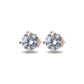 Couture Sparkle Stud Earrings For Women