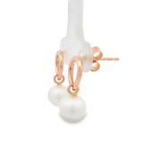 Orin Rose Gold 18k Gold Plated Sterling Silver Earrings