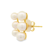 Ivorya 18k Gold Plated Sterling Silver Earrings