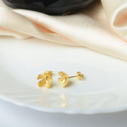 925-sterling-silver-haute-hues-stud-earrings-for-women