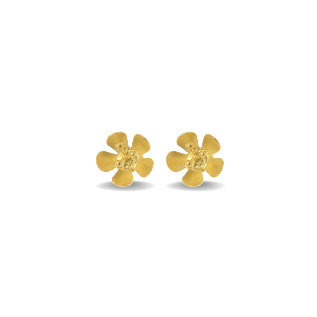 925-sterling-silver-haute-hues-stud-earrings-for-women