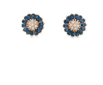 Load image into Gallery viewer, Blue Petal Bloom Earrings
