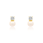 Load image into Gallery viewer, Stardust Silver stud earrings
