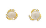 Load image into Gallery viewer, moonstone-silver-stud-earrings
