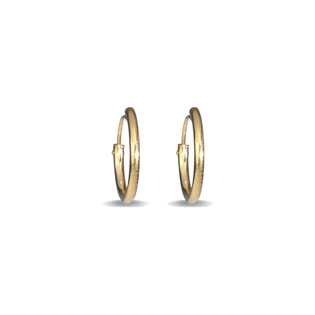 Elegant Fusion Golden Hoops Earrings