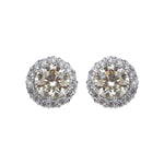 Load image into Gallery viewer, Rimming Moon Golden Swarovski Diamond Stud Earrings
